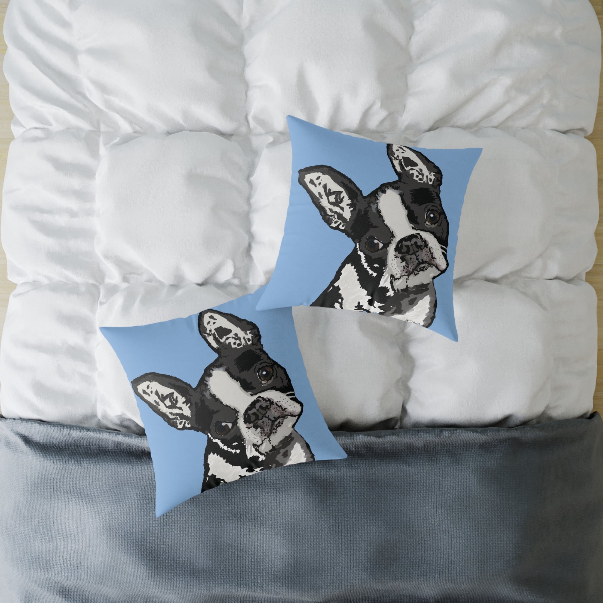Boston Terrier Throw Pillow — Cute Dog Portrait on Blue Square Poly Canvas Pillow - Blue Cava